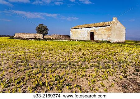 Country house in Daimiel. Ciudad Real. Castilla la Mancha. Spain. View Large Photo Image Picture - Country house in Daimiel. Ciudad Real. Castilla la Mancha. Spain.. Fotosearch