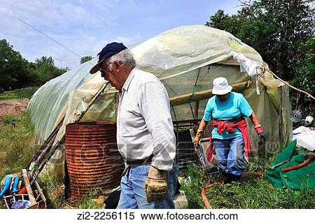 Stock Photography - Farmers in the kitchen garden. Mazarete, Guadalajara, Spain. Fotosearch