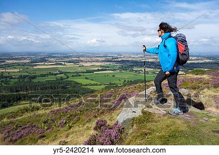 Picture - Female hiker near Captain Cook`s monument on Easby Moor, North York Moors, National Park, North Yorkshire, England, United Kingdom.. Fotosearch