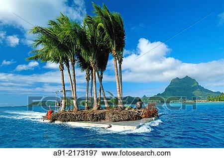 French Polynesia, Bora Bora, Man transporting palm trees on barge. View Large Photo Image Stock Photo - French Polynesia, Bora Bora, Man transporting palm trees on barge.. Fotosearch