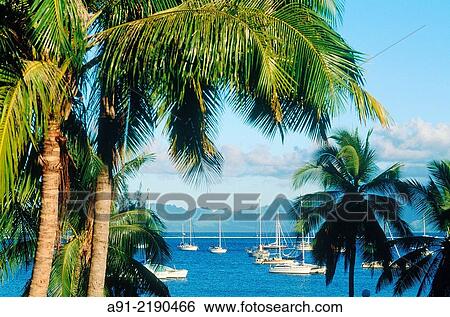 Stock Photograph - FRENCH POLYNESIA. TAHITI. MOOREA ISLAND AND MOORED SAILING BOATS VIEW FROM PUNAAUIA.. Fotosearch