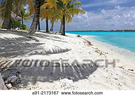 Stock Photo - French Polynesia, Windward islands archipelago, bora bora island. Fotosearch