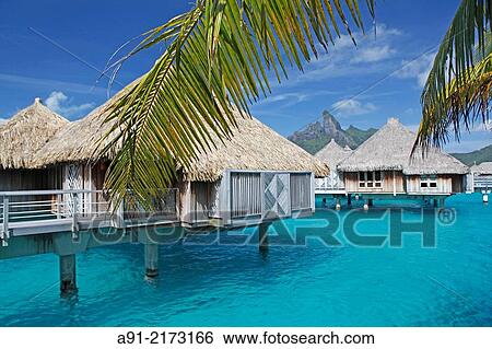 French Polynesia, Windward islands archipelago, bora bora island, Saint Regis luxury hotel and resort View Large Photo Image Stock Photograph - French Polynesia, Windward islands archipelago, bora bora island, Saint Regis luxury hotel and resort. Fotosearch
