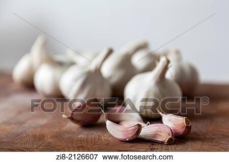 Garlic-Allium sativum. View Large Photo Image Stock Photo - Garlic-Allium sativum.. Fotosearch