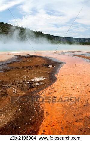 Picture - Grand Prismatic Spring in YellowstoneÂ´s Midway Geyser Basin, Yellowstone National Park, Wyoming, USA.. Fotosearch