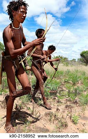Stock Image - Group of Ju/Â´hoansi San men on a hunting trip in the African savannah and having their bow and arrows ready for shooting, Namibia, Africa.. Fotosearch