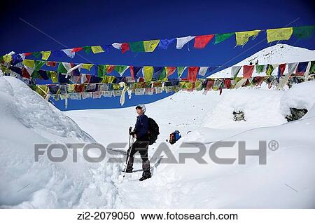 Hiker on Dughla Pass, 4830m., Sagarmatha National Park, the Himalaya range, Khumbu area, Solukhumbu District, Sagarmatha Zone, Nepal View Large Photo Image Stock Image - Hiker on Dughla Pass, 4830m., Sagarmatha National Park, the Himalaya range, Khumbu area, Solukhumbu District, Sagarmatha Zone, Nepal. Fotosearch