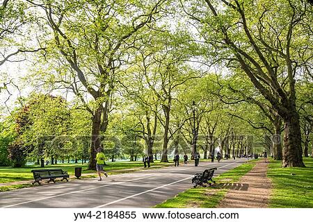 Hyde Park, Broad Walk, London, UK. View Large Photo Image Stock Photography - Hyde Park, Broad Walk, London, UK.. Fotosearch