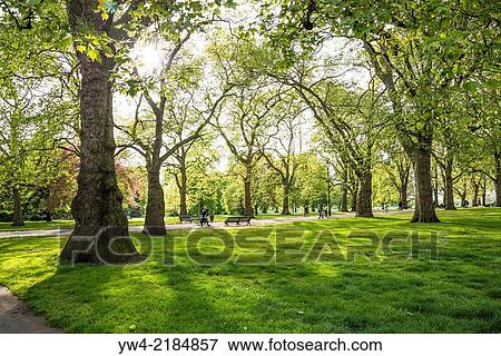 Hyde Park, London, UK. View Large Photo Image Stock Photo - Hyde Park, London, UK.. Fotosearch