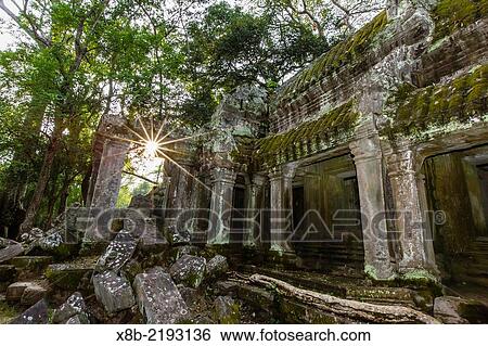 Jungle surrounded ruins at Ta Prohm Temple, Rajavihara, Angkor, Siem Reap Province, Cambodia, Khmer. View Large Photo Image Stock Photograph - Jungle surrounded ruins at Ta Prohm Temple, Rajavihara, Angkor, Siem Reap Province, Cambodia, Khmer.. Fotosearch