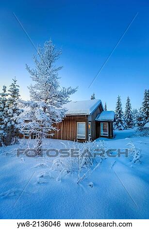 Stock Photograph - Log Cabin and snow covered trees in extreme cold temperatures, Lapland, Sweden.. Fotosearch