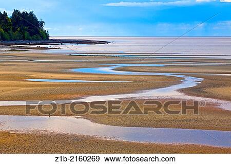 Low tide at a beach in Parksville, Vancouver Island, British Columbia, Canada. View Large Photo Image Stock Photo - Low tide at a beach in Parksville, Vancouver Island, British Columbia, Canada.. Fotosearch