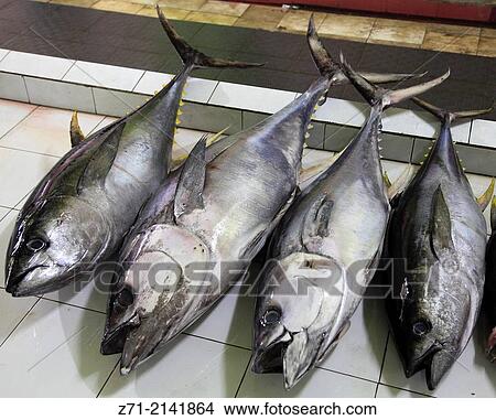 Picture - Maldives, Male, fish market, tuna,.. Fotosearch