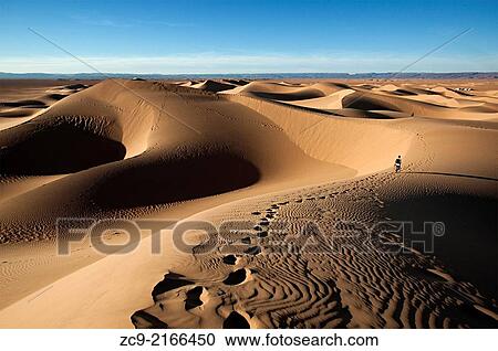 Man and dog walking away on Sahara desert sand dunes, Erg Lihoudi, M´Hamid, Draa Valley, Morocco. View Large Photo Image Stock Image - Man and dog walking away on Sahara desert sand dunes, Erg Lihoudi, M´Hamid, Draa Valley, Morocco.. Fotosearch