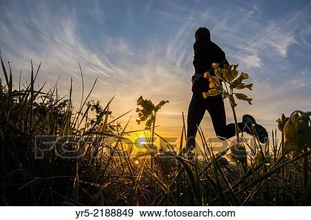 Man running through Wildflower meadow at sunrise in Cowpen Bewley Woodland Park, Billingham, England, United Kingdom. View Large Photo Image Stock Photo - Man running through Wildflower meadow at sunrise in Cowpen Bewley Woodland Park, Billingham, England, United Kingdom.. Fotosearch