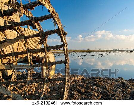 Muddy tractor with special wheels after working at flooded rice fields. Ebro River Delta Natural Park, Tarragona province, Catalonia, Spain. View Large Photo Image Stock Image - Muddy tractor with special wheels after working at flooded rice fields. Ebro River Delta Natural Park, Tarragona province, Catalonia, Spain.. Fotosearch