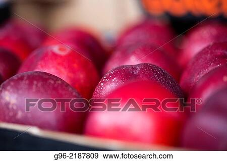 Stock Photo - Nectarine fruit at fruit processing factory. Spain. Fotosearch
