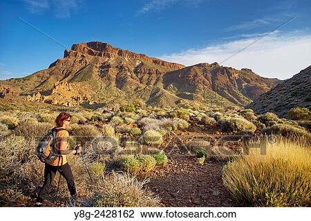 Nordic walking in Teide National Park, Tenerife, Canary Islands, Spain. View Large Photo Image Stock Image - Nordic walking in Teide National Park, Tenerife, Canary Islands, Spain.. Fotosearch