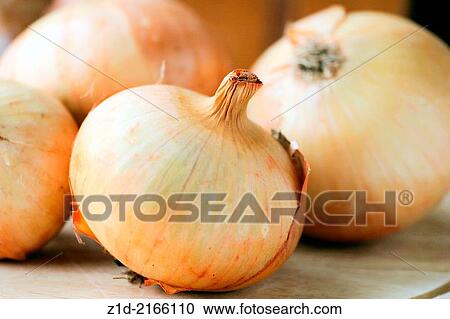 Onions on chopping board in Kitchen. View Large Photo Image Stock Image - Onions on chopping board in Kitchen.. Fotosearch