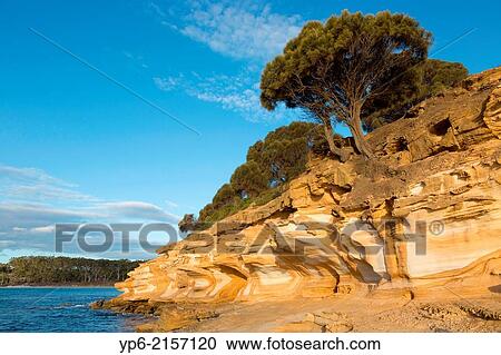 Stock Image - Painted Cliffs, Maria Island National Park, Tasmania, Australia.. Fotosearch