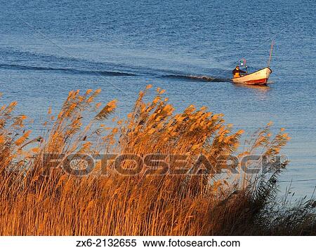 Reeds and small fishing boat at Ebro River mouth. Ebro River Delta Natural Park, Tarragona province, Catalonia, Spain. View Large Photo Image Stock Photography - Reeds and small fishing boat at Ebro River mouth. Ebro River Delta Natural Park, Tarragona province, Catalonia, Spain.. Fotosearch