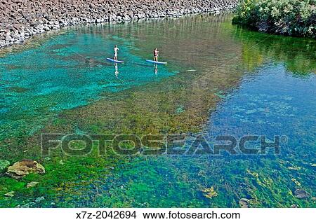 Riding the Standup Paddle Board at Blue Heart Spring in the Snake River Canyon near the city of Hagerman in southern Idaho. View Large Photo Image Picture - Riding the Standup Paddle Board at Blue Heart Spring in the Snake River Canyon near the city of Hagerman in southern Idaho.. Fotosearch