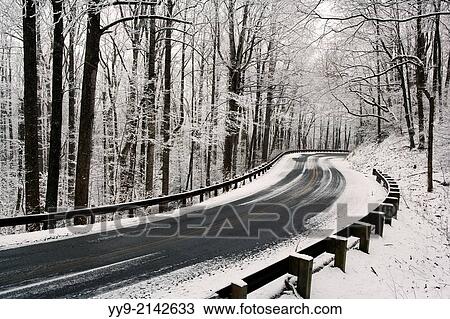 Stock Image - Road through Pisgah National Forest in winter - near Brevard, North Carolina USA.. Fotosearch