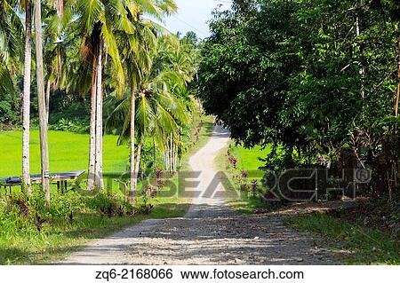 Stock Photograph - Rural Country Road in Puerto Princesa, Palawan, Philippines.. Fotosearch