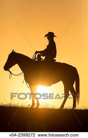 Single wrangler (cowboy) on horse at sunset, California, USA View Large Photo Image Stock Image - Single wrangler (cowboy) on horse at sunset, California, USA. Fotosearch