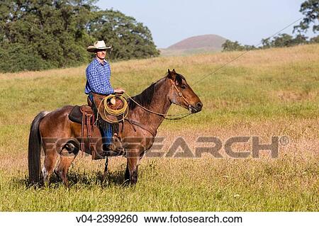 Stock Image - Single wrangler (cowboy) on horse, California, USA. Fotosearch