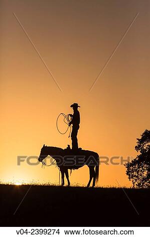 Single wrangler (cowboy) standing on his horse at sunset, California, USA View Large Photo Image Picture - Single wrangler (cowboy) standing on his horse at sunset, California, USA. Fotosearch