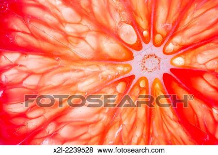 Slice of pink grapefruit close up. View Large Photo Image Stock Photo - Slice of pink grapefruit close up.. Fotosearch
