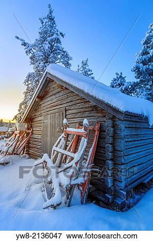 Stock Photo - Snow covered trees in extreme cold temperatures, Lapland, Sweden Sleds and small log shed, Lapland, Sweden.. Fotosearch