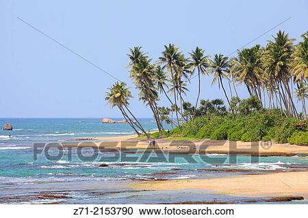 Sri Lanka, Galle, beach of Lighthouse Hotel,. View Large Photo Image Stock Image - Sri Lanka, Galle, beach of Lighthouse Hotel,.. Fotosearch