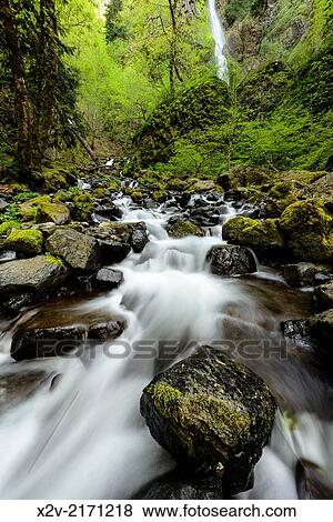 Starvation Creek with Falls in the background along the Columbia River Gorge. View Large Photo Image Stock Photo - Starvation Creek with Falls in the background along the Columbia River Gorge.. Fotosearch