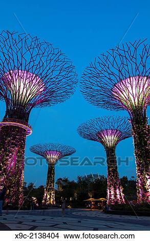 Supertree Groove in Gardens by the Bay, Singapore. View Large Photo Image Picture - Supertree Groove in Gardens by the Bay, Singapore.. Fotosearch