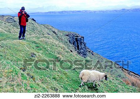 Taking a picture in Trotternish Peninsula. Isle of Skye, Scotland, United Kingdom View Large Photo Image Stock Photo - Taking a picture in Trotternish Peninsula. Isle of Skye, Scotland, United Kingdom. Fotosearch