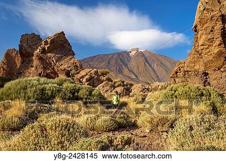Teide National Park, Canary Islands, Tenerife, Spain. View Large Photo Image Stock Photography - Teide National Park, Canary Islands, Tenerife, Spain.. Fotosearch