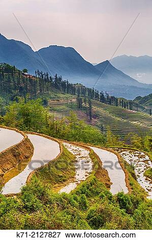 Terraced fields on the hillside and Lao Chai Village near Sapa, Vietnam, Asia. View Large Photo Image Stock Photo - Terraced fields on the hillside and Lao Chai Village near Sapa, Vietnam, Asia.. Fotosearch