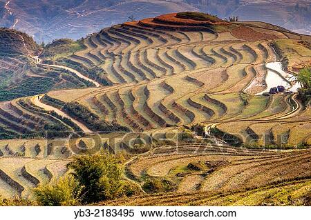 Stock Photography - Terraced Landscape Around Sa Pa, Lao Cai Province, Vietnam.. Fotosearch