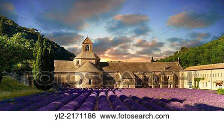 Stock Photograph - The 12th century Romanesque Cistercian Abbey of Notre Dame of Senanque ( 1148 ) set amongst the flowering lavender fields of Provence near Gordes, France.. Fotosearch