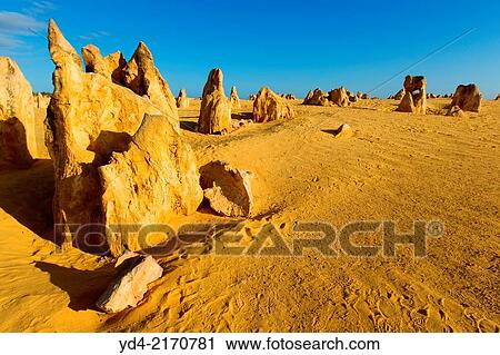 The Pinnacles, Nambung National Park, Cervantes, West Australia, Australia. View Large Photo Image Stock Image - The Pinnacles, Nambung National Park, Cervantes, West Australia, Australia.. Fotosearch