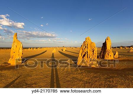 The Pinnacles, Nambung National Park, Cervantes, West Australia, Australia. View Large Photo Image Stock Photography - The Pinnacles, Nambung National Park, Cervantes, West Australia, Australia.. Fotosearch