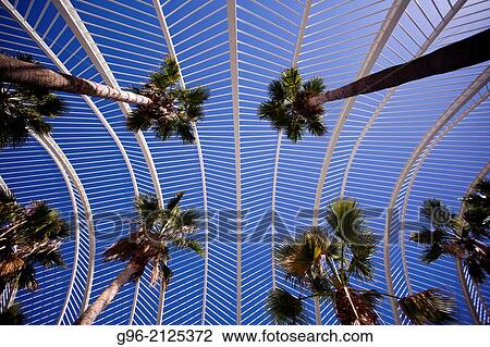 The umbracle at Ars & Science City at Valencia, by Santiago Calatrava. View Large Photo Image Stock Image - The umbracle at Ars & Science City at Valencia, by Santiago Calatrava.. Fotosearch