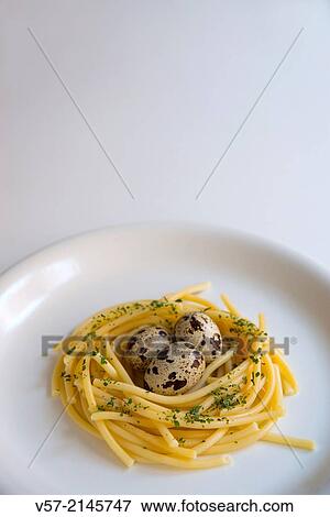 Three quail eggs in a nest made of spaghetti. View Large Photo Image Stock Photo - Three quail eggs in a nest made of spaghetti.. Fotosearch