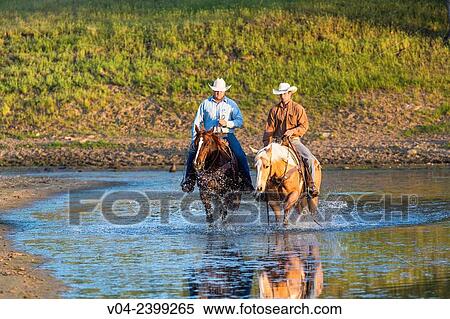 Two wranglers (Cowboys) on horses, riding through water, California, USA View Large Photo Image Stock Photography - Two wranglers (Cowboys) on horses, riding through water, California, USA. Fotosearch