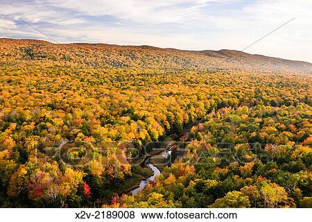 View of the Carp River running through the Porcupine Mountains State Park in northern Michigan´s Upper Peninsula. View Large Photo Image Stock Photo - View of the Carp River running through the Porcupine Mountains State Park in northern Michigan´s Upper Peninsula.. Fotosearch