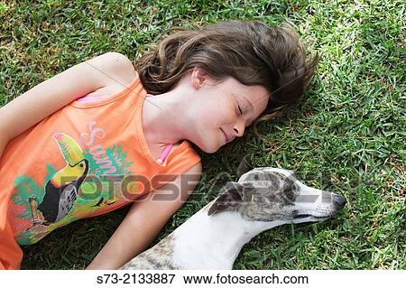 Whipped dog and girl sleeping View Large Photo Image Stock Photo - Whipped dog and girl sleeping. Fotosearch