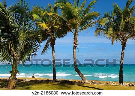Woman meditating on shore at Varadero beach resort Cuba with Palm trees. View Large Photo Image Stock Image - Woman meditating on shore at Varadero beach resort Cuba with Palm trees.. Fotosearch