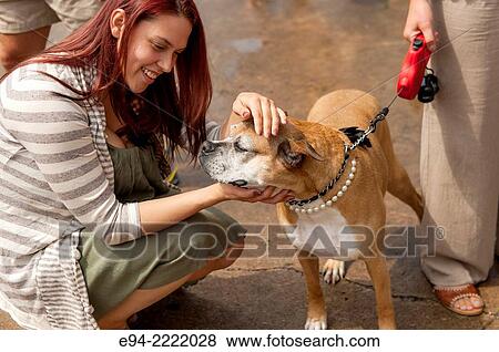 A 24 year old brunette woman petting a dog in an outdoor market. View Large Photo Image Stock Photo - A 24 year old brunette woman petting a dog in an outdoor market.. Fotosearch